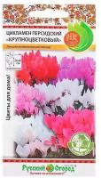 Семена комнатных цветов Цикламен "Русский огород", "Крупноцветковый", 5 шт