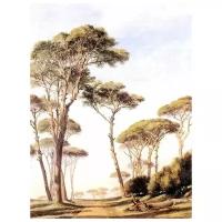Репродукция на холсте Римские каменные сосны (Rome Stone Pines) Кук Эдвард Вильям 50см. x 67см
