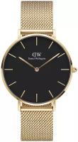 Наручные часы Daniel Wellington Petite Evergold 36mm