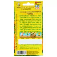 Семена цветов Бархатцы "Апельсин" прямостоячие, О, 0,3 г