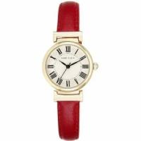 Наручные часы ANNE KLEIN Daily