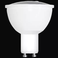 Светодиодная лампа Foton 610256