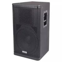 BLG Audio RXA12P964P-DSP