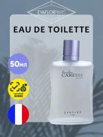 Parfums Evaflor Мужской Tendre Caresse Pour Homme Туалетная вода (edt) 50мл