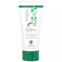 Гель для душа Andalou Naturals Aloe mint