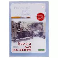 Бумага для рисования Альт, А3 (297 х 420 мм), 20 листов, профессиональная серия, 2 вида, Арт. 4-20-023