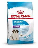 Корм сухой ROYAL CANIN GIANT JUNIOR корм для щенков 3,5 кг х 3 шт