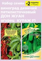 Семена девичий Виноград (Партеноциссус) "Дон Жуан", 5 сем. + Семена Огурец "Кураж F1" + 2 Подарка от продавца