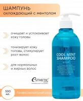 Esthetic House, Шампунь для волос охлаждающий CP-1 Head Spa Cool Mint Shampoo, 500 мл