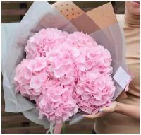 Букет Гортензия розовая, красивый букет цветов, шикарный, премиум букет