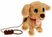 Интерактивный щенок чарли 22 см пульт-поводок, ходит, виляет хвостиком, поёт песенку МОЙ питомец HTH1269