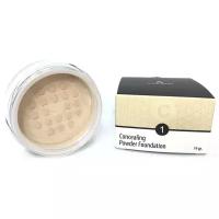 Anna Lotan Пудра Concealing Powder Foundation