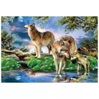 Paintboy Картина по номерам "Волки на водопое" (GX3922)