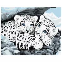 Dimensions Картина по номерам "Детеныши снежного леопарда" (DMS-91079)
