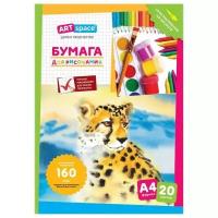 Папка ArtSpace 29.7 х 21 см 160 г/м², 20 л. A4 29.7 см 21 см 160 г/м²