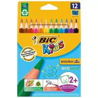 BIC Цветные карандаши Evolution Triangle 12 цветов (8297356) разноцветный