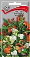 Фасоль вьющаяся Смесь окрасок однол. 5шт. (Поиск)