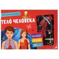 Книга Тело человека. Детская энциклопедия (нов.оф.) (в коробке)