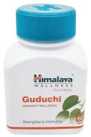 Гудучи Хималая - иммуномодулятор, Guduchi Himalaya, 60 таб