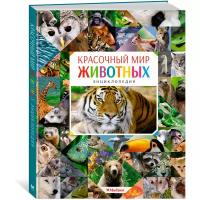 Книга Красочный мир животных