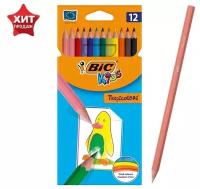 Цветные карандаши 12 цветов, детские, шестигранные, ударопрочные, BIC Kids Tropicolors