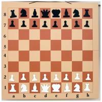 Шахматы демонстрационные магнитные 40 на 40 см