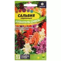 Семена цветов Сальвия "Акварель", Сем. Алт, ц/п, 0,1 г (1шт.)