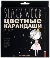 Карандаши BrunoVisconti, цветные, 24 цвета, 4 вида, BlackWoodColor, Арт. 30-0099, упаковка в ассортименте