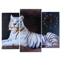 Часы настенные, модульные, серия: Животный мир, "Белый тигр", 60х80 см, микс 2045076