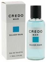 Туалетная вода мужская 100мл, CREDO MAN Silver Rain