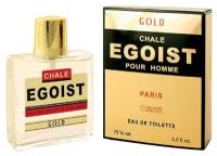 ALAIN AREGON (Positive parfum) Туалетная вода мужская CHALE EGOIST GOLD, 100мл