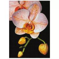 Гранни Набор алмазной вышивки Изящная орхидея (ag281) 27х38 см