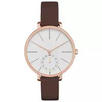 Наручные часы Skagen SKW2356