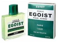 ALAIN AREGON (Positive parfum) Туалетная вода мужская CHALE EGOIST ESTET