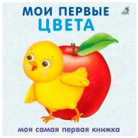 Книжка - картонка. Мои первые цвета