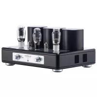 Интегральный усилитель стерео Trafomatic Audio Evolution One