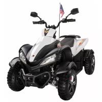 Joy Automatic Квадроцикл Yamaha Raptor