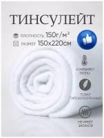 Тинсулейт не каландрированный Т150, 1,5см плотность,150х220 полотно для одеял, одежды, рулончик, наполнитель для кукол и игрушек, утеплитель ASTRASOFT