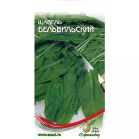 Семена Щавель Бельвильский 100шт для дачи, сада, огорода, теплицы / рассады в домашних условиях