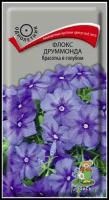 Семена цветов Флокс "Поиск", друммонда, "Красотка в голубом", однолетник, 0,1 г