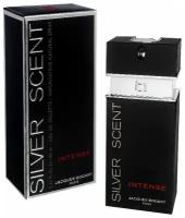 Jacques Bogart Мужской Silver Scent Intense Туалетная вода (edt) 100мл