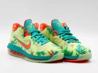 Кроссовки NIKE LeBron 9 Low LeBronold Palmer, полнота D, размер 9.5US, мультиколор