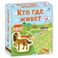 Настольная игра Робинс Кто где живёт