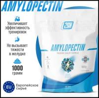 Гейнер на медленных углеводах для набора массы 2SN Amylopectin 1000 г