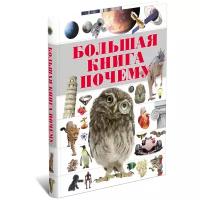 Детская энциклопедия. Большая книга Почему