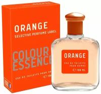 Today Parfum туалетная вода Colour Essences Orange, 100 мл, 268 г