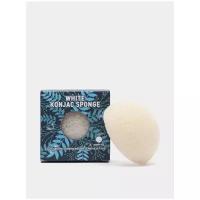 Очищающий спонж конняку White Konjac Sponge