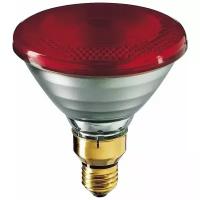 Лампа накаливания IR175R PAR38 230В E27.1CT/12 / 871150060053015, PHILIPS 923801444210 (1 шт.)