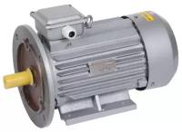 Электродвигатель АИР DRIVE 3ф 100L4 380В 4кВт 1500об/мин 2081 IEK DRV100-L4-004-0-1520 (1 шт.)