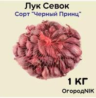 Лук Севок сорт "Черный Принц" 1кг